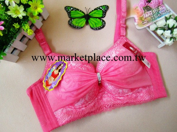 一件起批厚杯雙層佈四排扣少婦胸罩 優質 集中聚攏上托調整 8673工廠,批發,進口,代購