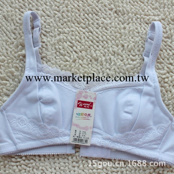 發育期學生胸罩內衣 少女胸罩 全棉 純色蕾絲超柔舒適內衣 可混批工廠,批發,進口,代購