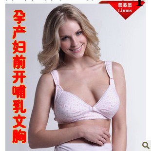 蕾慕思印花前開扣新媽媽哺乳胸罩/喂奶衣/孕婦內衣胸罩LMS3115工廠,批發,進口,代購