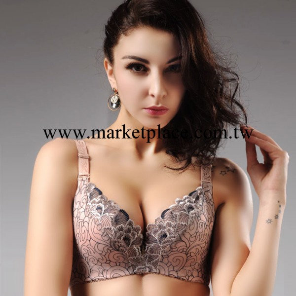溫黛雅品牌內衣 刺繡聚攏收副乳調整型集中性感胸罩批發傾世皇妃工廠,批發,進口,代購