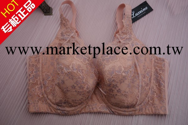 【Luxeine品牌】加盟1362薄杯大碼蕾絲超聚攏寬側比調整型胸罩工廠,批發,進口,代購