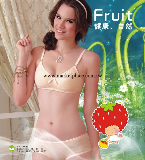 少女胸罩學生內衣少女內衣薄棉杯胸罩小靚美1869#工廠,批發,進口,代購