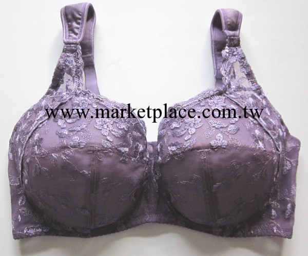 批發大碼胸罩內衣全罩大杯胸罩 80-110 CDEF超大罩杯義乳胸罩工廠,批發,進口,代購