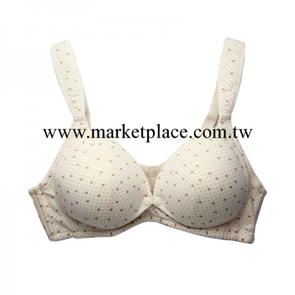 廠傢批發直銷 女士產後竹炭哺乳胸罩 孕婦太陽花前排口定型胸罩工廠,批發,進口,代購