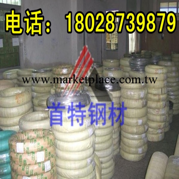 售優質304無磁不銹鋼彈簧線.首特不銹鋼彈簧線材.316不銹鋼彈簧線工廠,批發,進口,代購