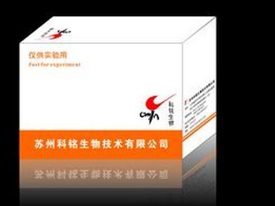 NADP磷酸酶（NADPase）測試盒工廠,批發,進口,代購