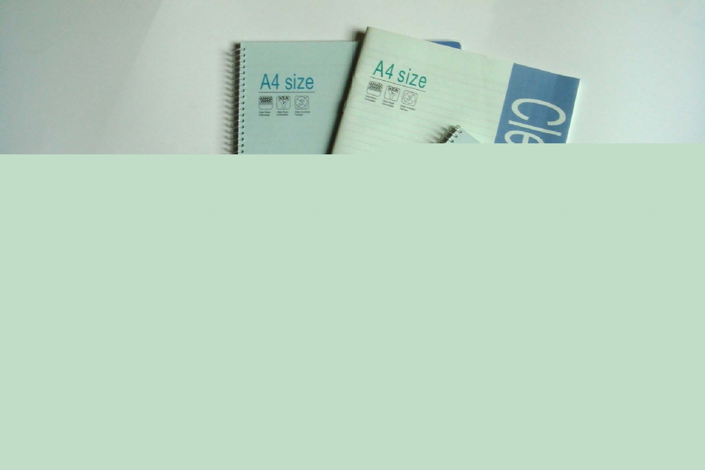 批發供應；50頁20頁無塵凈化筆記本。工廠,批發,進口,代購