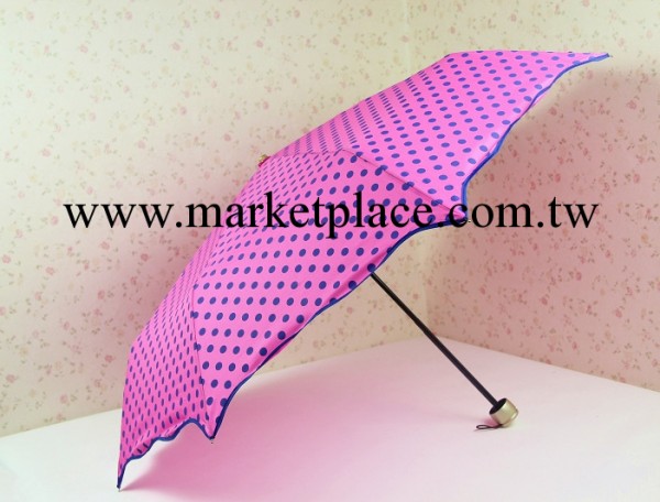 正品集成牌洋傘可愛波浪邊波點糖果色亮麗個性創意折疊遮陽晴雨傘批發・進口・工廠・代買・代購