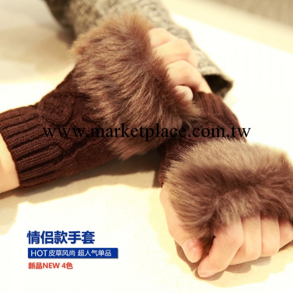 梵沃2013 人氣情侶手套  CIDI-D545工廠,批發,進口,代購
