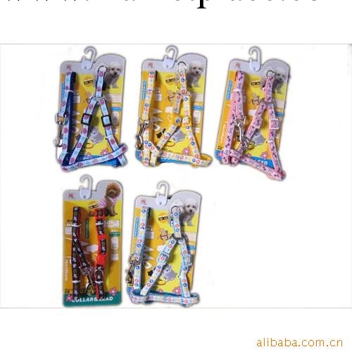 批發寵物用品：供應魅寶貼佈胸背+牽引繩套裝工廠,批發,進口,代購
