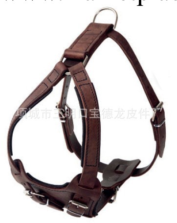 廠價批發狗牽引繩 純牛皮狗狗胸背，項城市寶德龍皮件寵物用品批發・進口・工廠・代買・代購