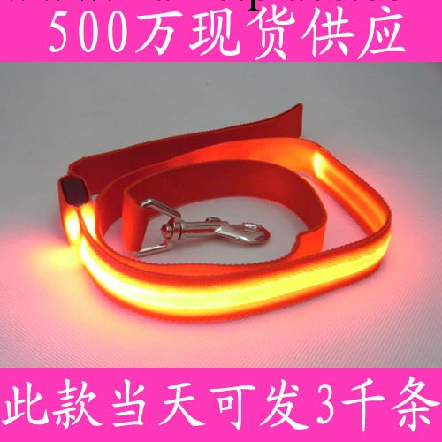 浙江產業帶寵物用品批發 led發光拉帶 寵物牽引繩 廠傢批發工廠,批發,進口,代購