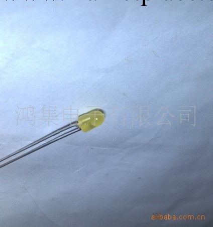 鴻集 LED發光二極管-3mm 黃發黃 長腳 有邊工廠,批發,進口,代購