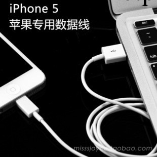 蘋果iPhone 5 數據線  mini ipad 4 充電線 數據線 USB充電線工廠,批發,進口,代購