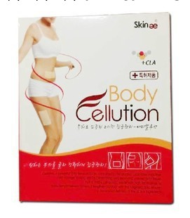 Body Cellution韓國醫用溶脂減肥瘦身貼批發・進口・工廠・代買・代購