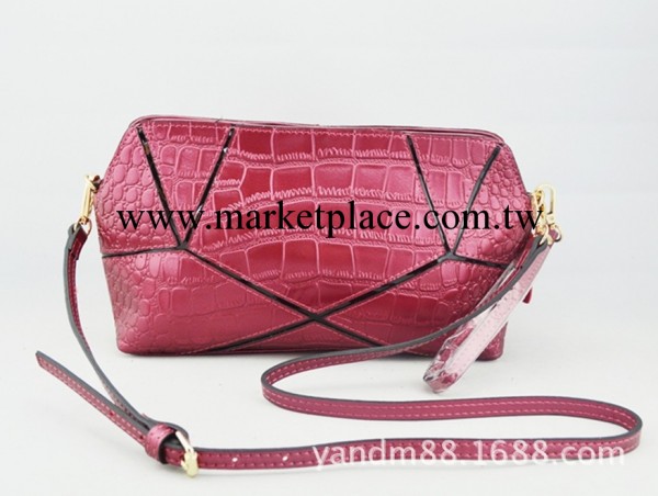 新品女包真皮批發 歐美大牌范女斜跨包包 單肩手拿包女真皮2221工廠,批發,進口,代購