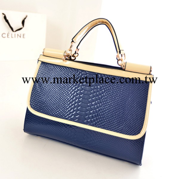 批發歐美新款蛇紋定型女包 2013時尚氣質亮皮斜挎手提奢華女包包工廠,批發,進口,代購