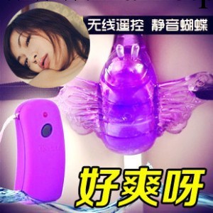百樂遙控蝴蝶女用穿戴跳蛋自慰器 無線遙控無線跳蛋批發工廠,批發,進口,代購