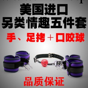 束縛五件套手足銬口球PU-004工廠,批發,進口,代購