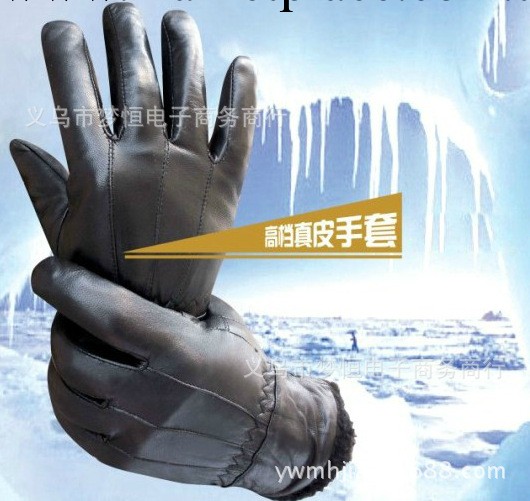 冬季保暖羊皮手套 男士韓版時尚加絨加厚手套工廠,批發,進口,代購