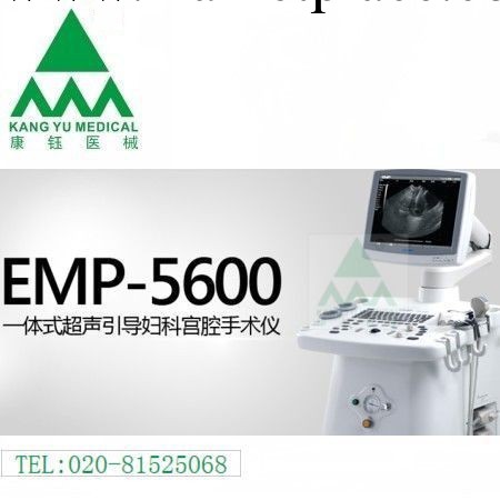 供應：EMP-5600 一體式超聲引導婦科宮腔手術機工廠,批發,進口,代購