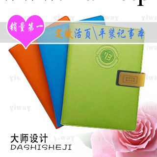 爆款2013年主流色調 定做記事本 商務筆記本批發工廠,批發,進口,代購