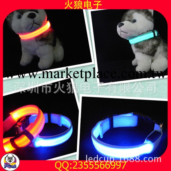 最新熱賣寵物用品  七彩夜光牽引繩供您選擇工廠,批發,進口,代購
