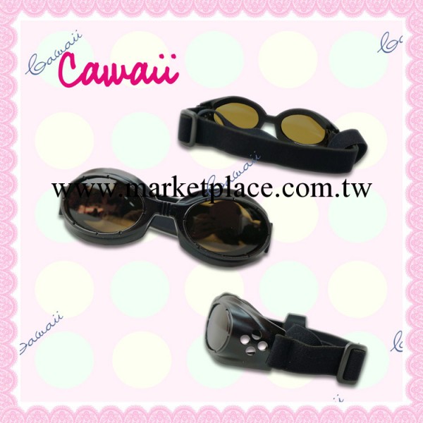 帥氣黑色狗狗眼鏡寵物用品.寵物外出用品.寵物配件批發工廠,批發,進口,代購