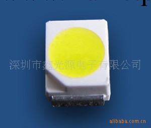 供應  廠傢直銷  SMD   LED  3528 正白燈珠工廠,批發,進口,代購