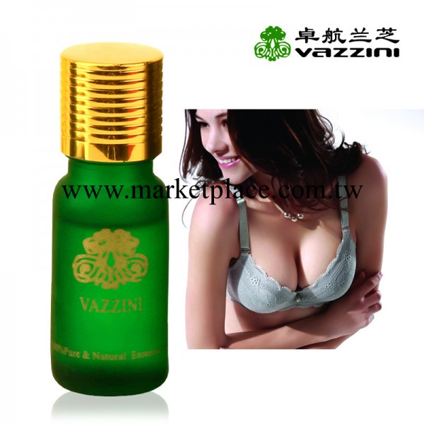 縮胸整形精油10ML卓航蘭芝品牌精油 12年專業生產品質保障備貨919工廠,批發,進口,代購
