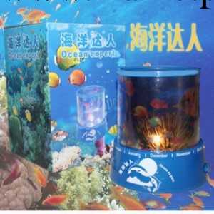 廠傢直銷 LED星空燈-海洋達人工廠,批發,進口,代購