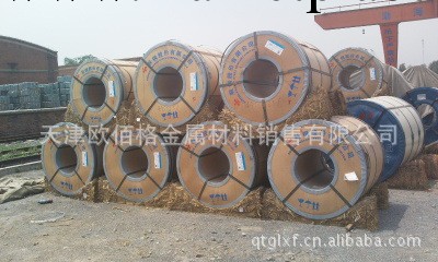 廠傢直銷316L防腐不銹鋼板 316L不銹鋼卷板工廠,批發,進口,代購