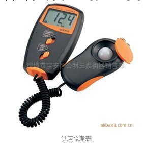 照度表LX1010BS工廠,批發,進口,代購