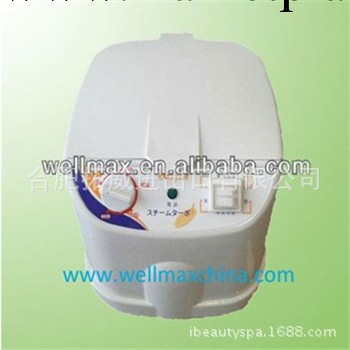熏蒸機 蒸汽機 桑拿浴箱配件 傢用便捷型 可加中藥材蒸汽發生器工廠,批發,進口,代購