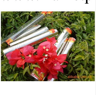 供應不銹鋼管 機械設備用管 316不銹鋼管工廠,批發,進口,代購