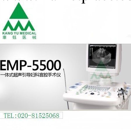 供應：EMP-5500 一體式超聲引導婦科宮腔手術機工廠,批發,進口,代購