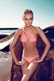 外貿維多利亞性感的秘密 bikini 比基尼歐美泳衣女小胸聚攏批發工廠,批發,進口,代購