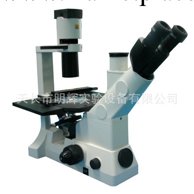 江南永新 XD-202倒置生物顯微鏡 安徽總代理工廠,批發,進口,代購