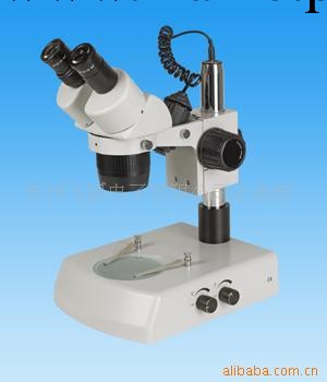 特許經銷商 供應ST-6024顯微鏡批發・進口・工廠・代買・代購
