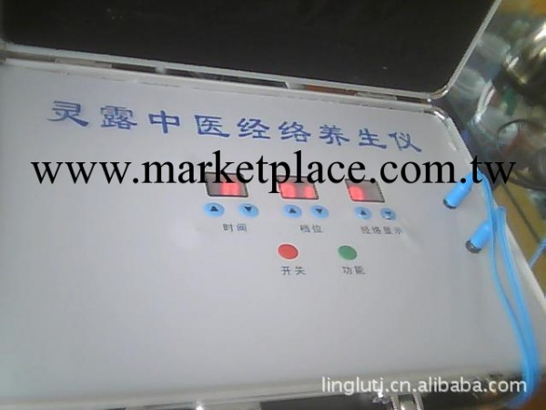 L-1生物經絡體控電療機   保證不用練電拿著極片直接操作身體工廠,批發,進口,代購