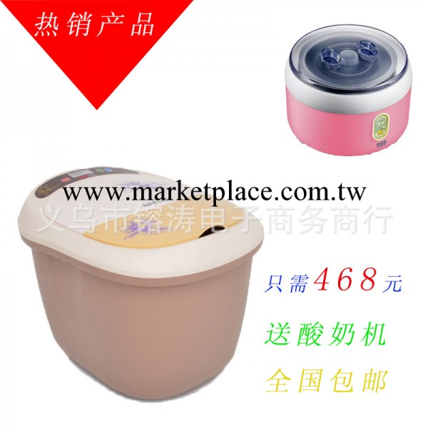 紅偉達足浴盆HWD-313 批發足浴盆 泡腳盆 洗腳盆 按摩足浴器工廠,批發,進口,代購