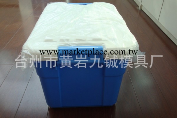 專業生產日用品模具，時尚耐用型整理箱註塑模工廠,批發,進口,代購
