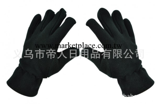 迎接2013 搖粒絨抓絨保暖手套拍就免費送工廠,批發,進口,代購