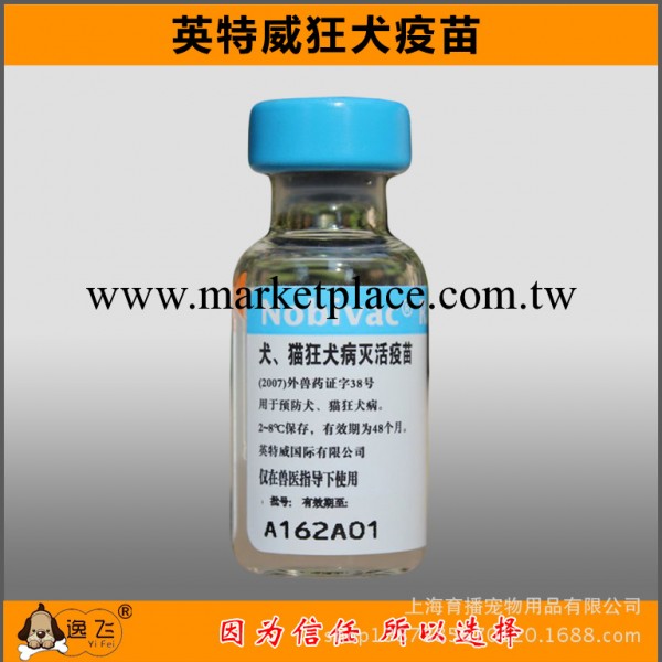 荷蘭英特威狂犬疫苗/100%保證正品 寵物狂犬疫苗工廠,批發,進口,代購