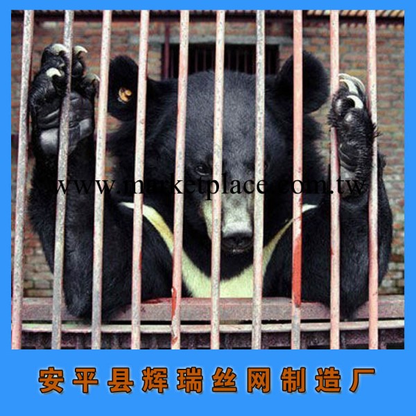 動物園專用籠子 寵物用品公司 寵物狗籠子狗籠子狗狗窩工廠,批發,進口,代購