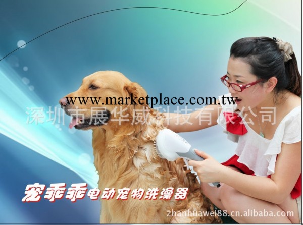 寵乖乖梳子刷子 寵物水晶批發寵物用品梳子刷子工廠,批發,進口,代購