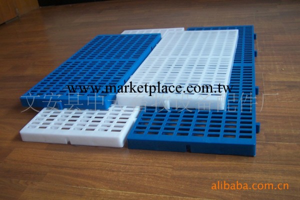 供應高品質新穎全尺寸寵物用品 全年有現貨工廠,批發,進口,代購