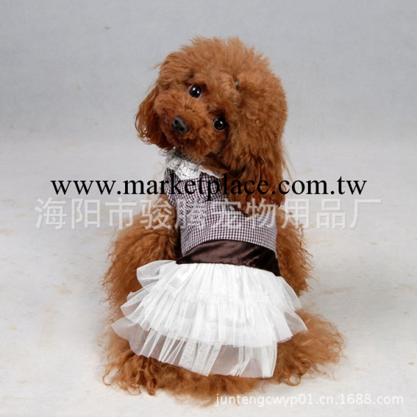 寵物服裝日韓寵物春秋衣服狗裙子蕾絲裙加工定做寵物衣服外貿出口工廠,批發,進口,代購