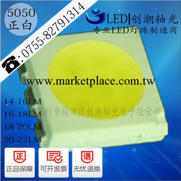 5050 led 貼片 燈珠 發光管 白色 發光二極管 LED5050 白燈 白光工廠,批發,進口,代購