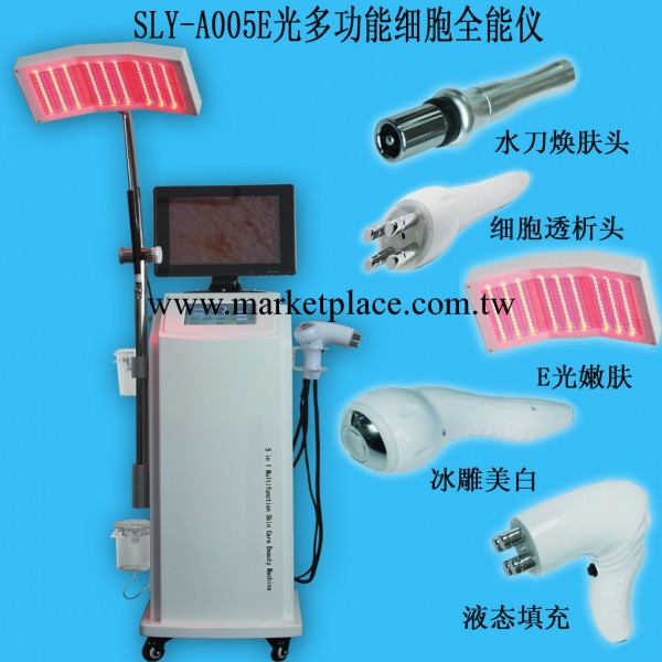 廣州聖力亞美容機器 E光多功能細胞全能機 光動力美容機 細胞透析工廠,批發,進口,代購